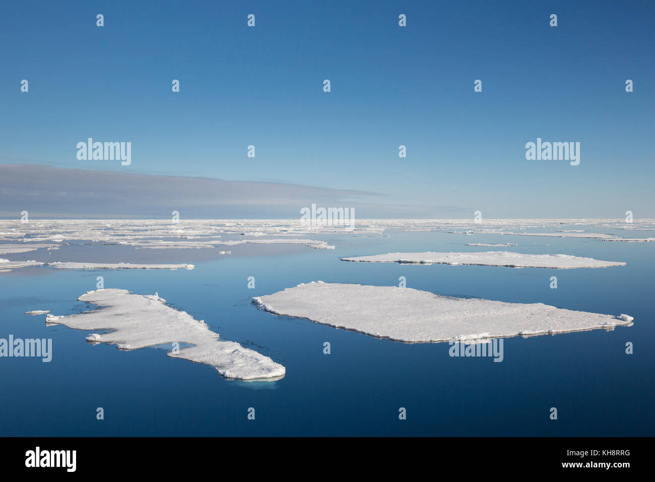 / Los témpanos de hielo a la deriva en el océano ártico, Nordaustlandet / noreste de Tierra / Svalbard, Spitsbergen, Noruega Foto de stock