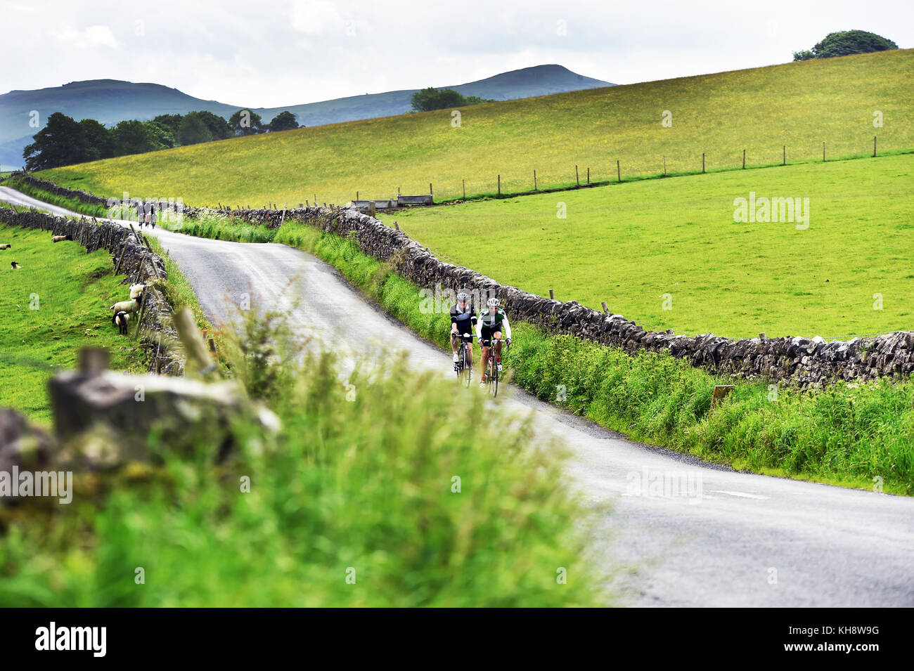 Un ciclista ciclismo en los valles de Yorkshire junto a un muro de piedra seca UK Foto de stock