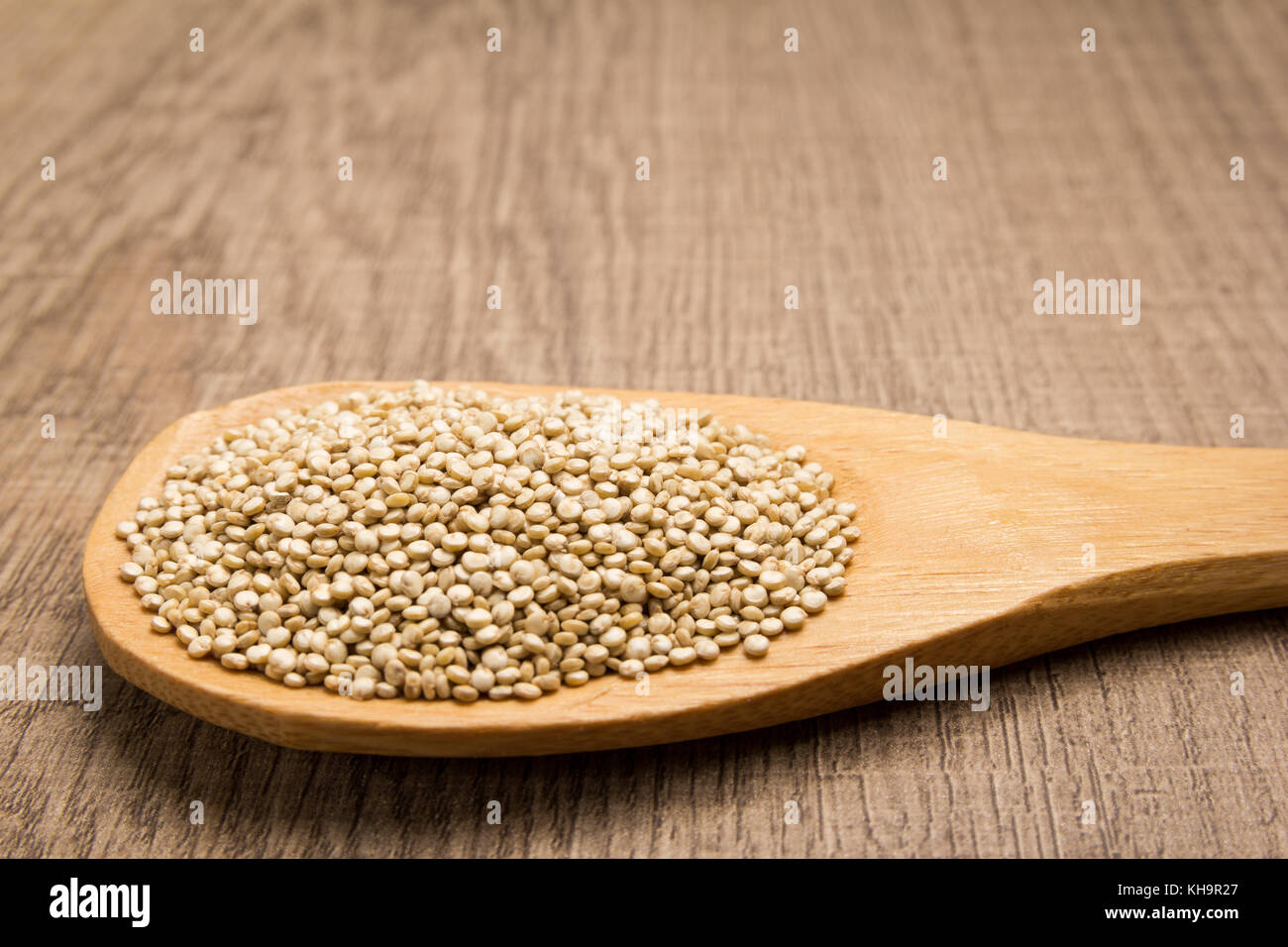 Chenopodium quinoa es el nombre científico de la quinua de oro. los