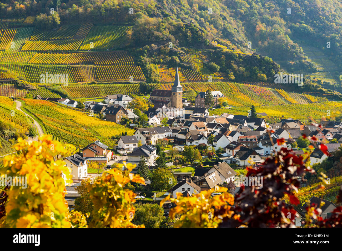Viñedos en otoño, Mayschoß, valle de Ahr, zona de cultivo de vino tinto, Eifel, Renania-Palatinado, Alemania Foto de stock