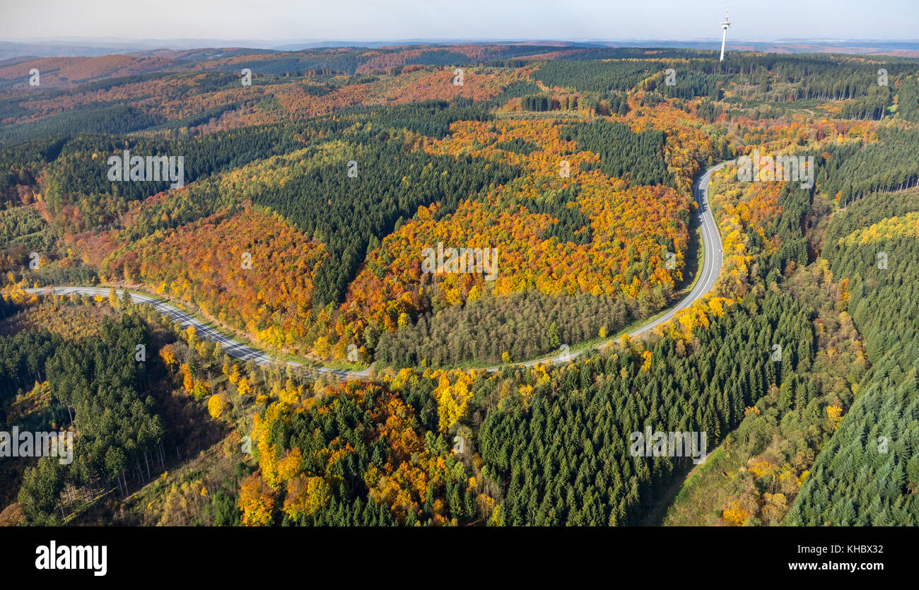 La carretera federal B55 a través del bosque mescheder, país por carretera, carretera del bosque con hojas de otoño, otoño de Meschede, humor, sauerland Foto de stock