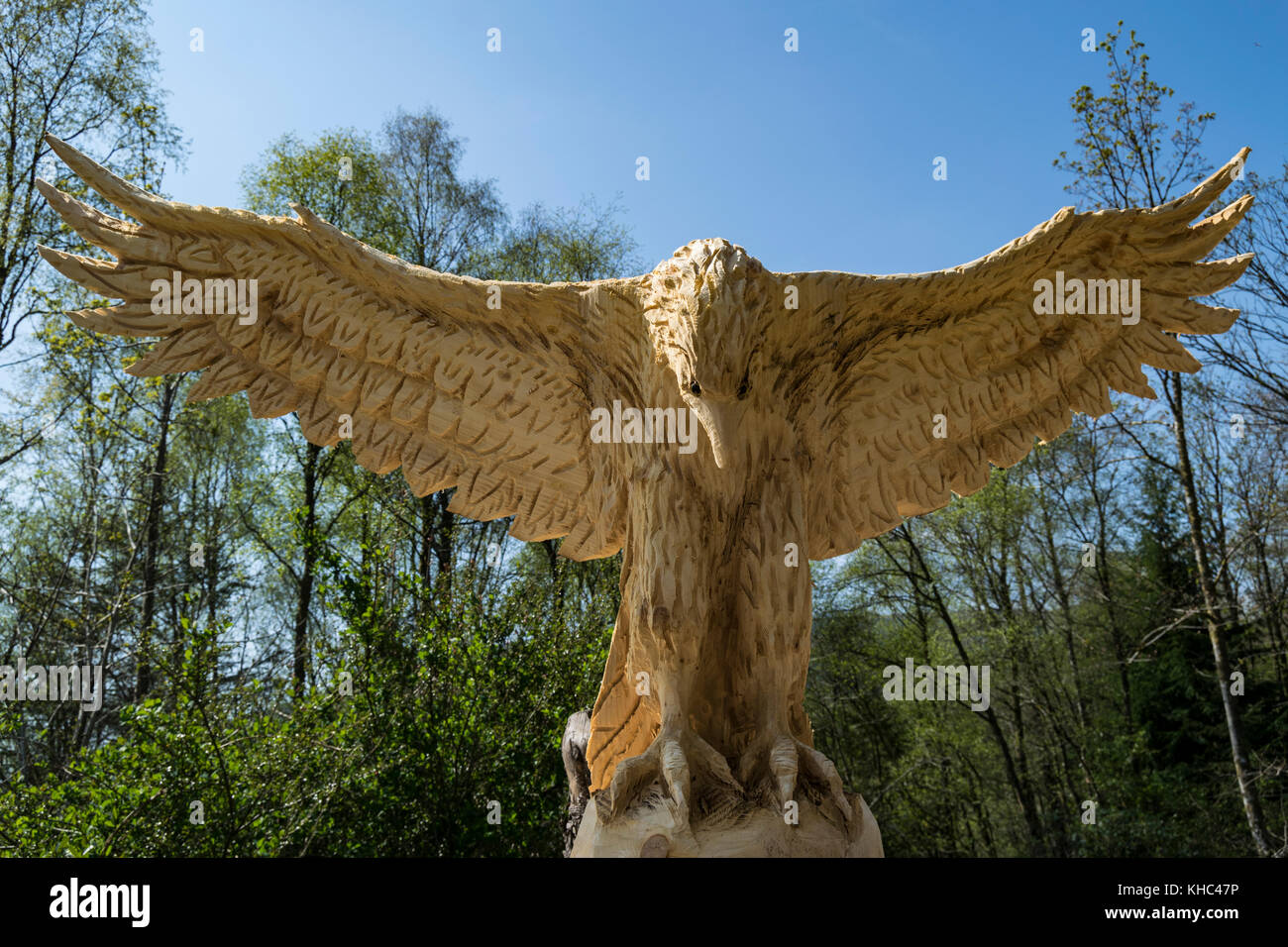 Madera de águila fotografías e imágenes de alta resolución - Alamy