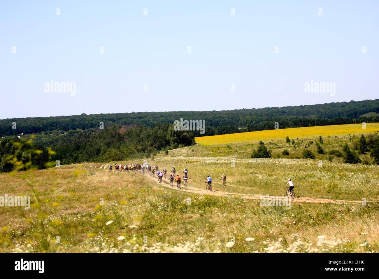 Grupo de ciclista correr sobre un campo de trigo durante un caluroso día de verano, el cielo azul Foto de stock