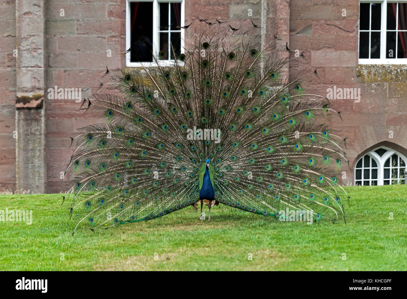 Escocia Foto de stock