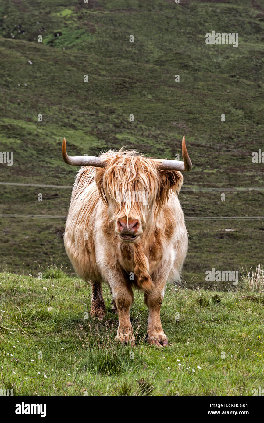 Escocia Foto de stock