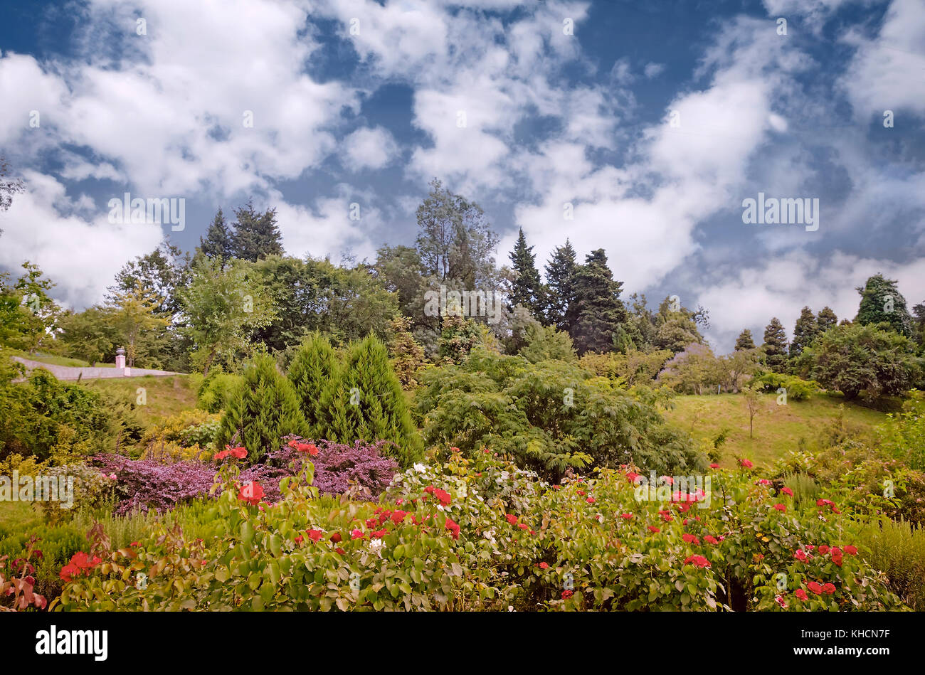 Sección del parque con hermosas plantas y flores. Foto de stock