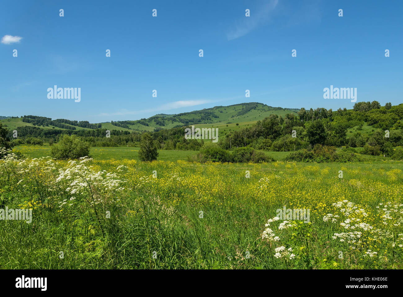 Vistas de las verdes colinas cubiertas de hierba y flores, el cielo azul y las nubes blancas en un día soleado Foto de stock