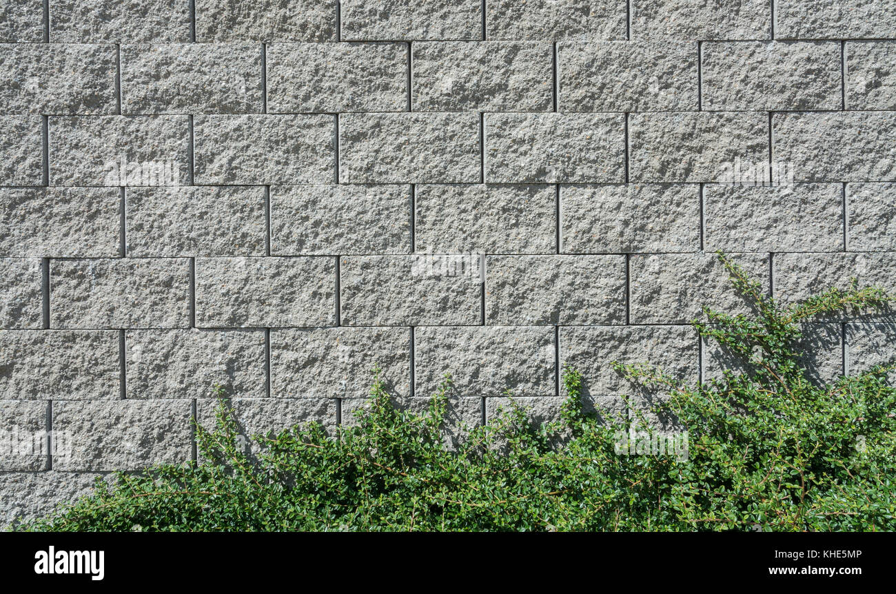 Muro de hormigón con ramas. hermosa textura de bloques de cemento con  plantas verdes decorativas Fotografía de stock - Alamy