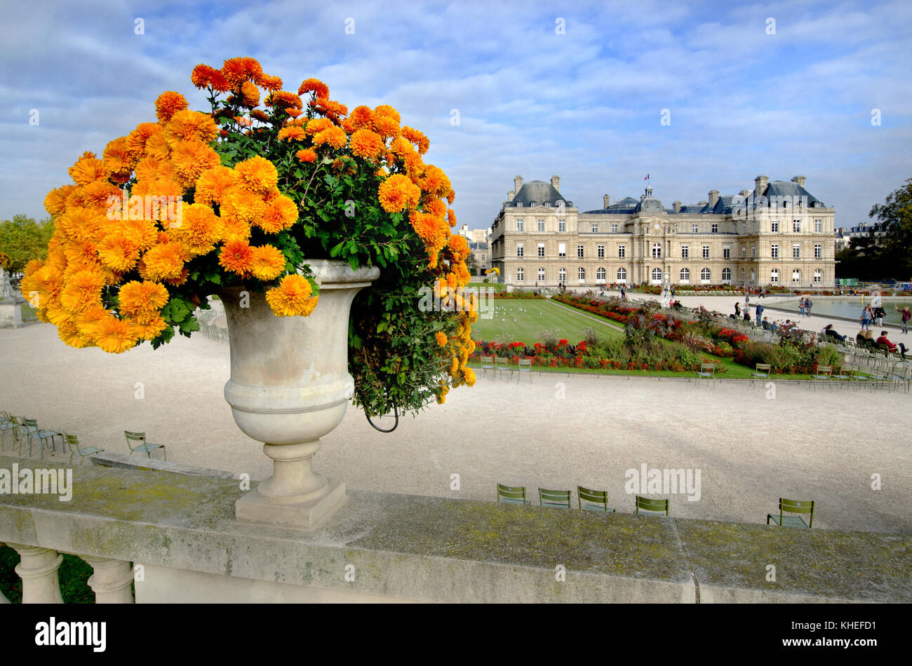 París, Francia. Jardin du Luxembourg (6to Arr) Palacio de Luxemburgo y flores Foto de stock