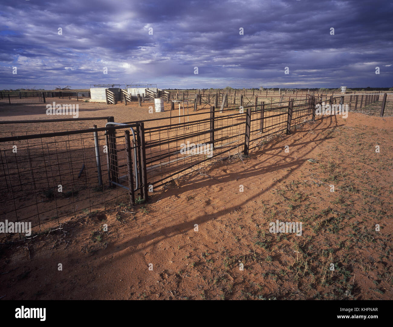 Ovejas yardas a fronterizos remotos Downs Station, New South Wales, Australia Foto de stock