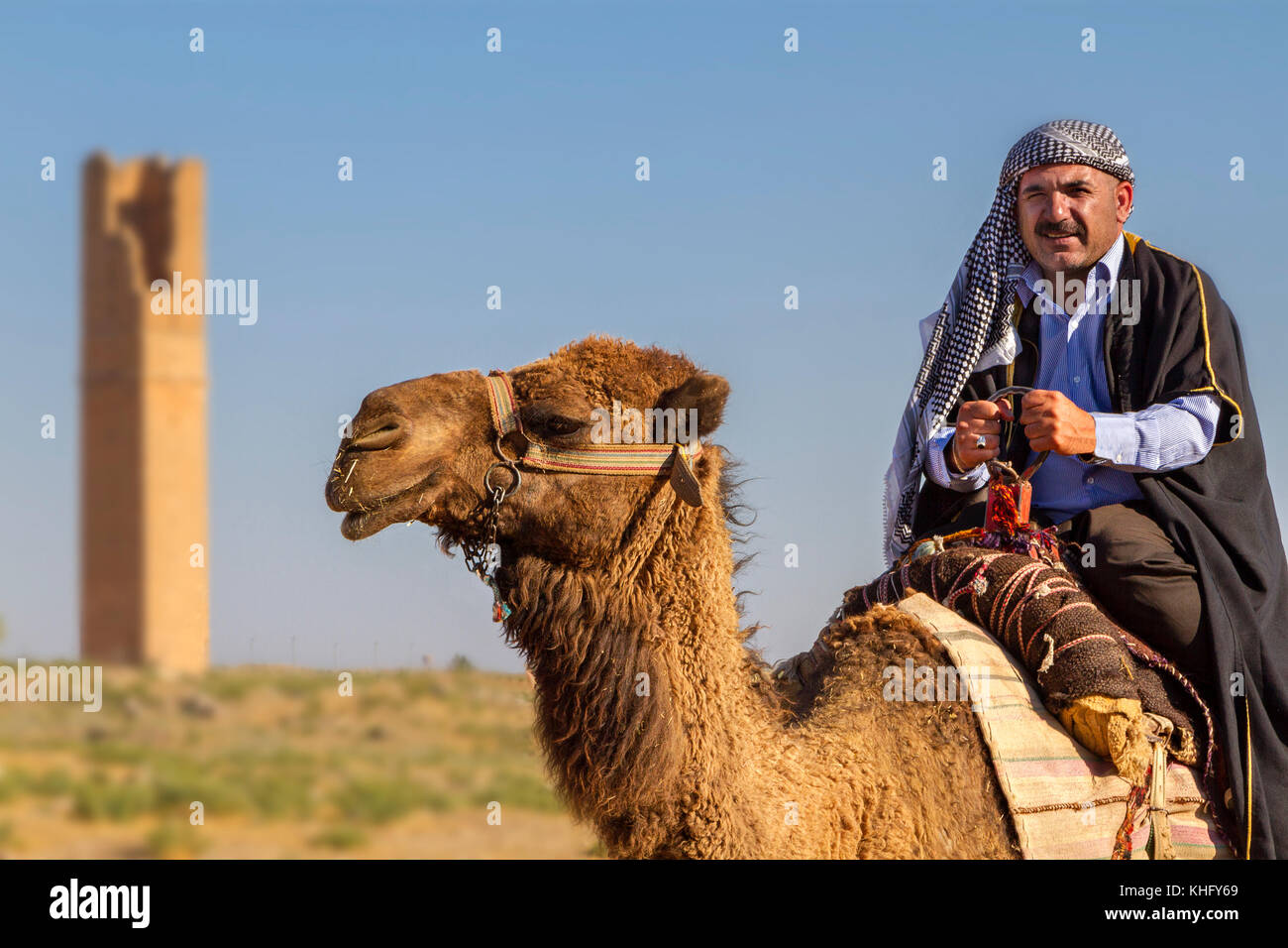 Hombre en vestidos locales montando un camello en la ciudad de Harran, Sanliurfa, Turquía. Foto de stock