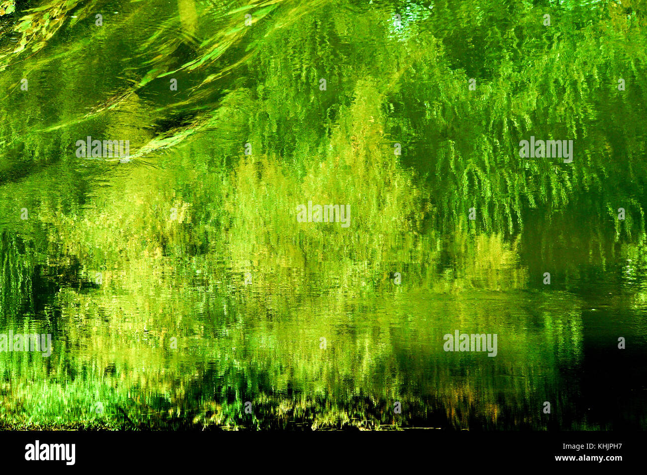 Las malas hierbas, arbustos y árboles en la orilla del río se reflejan en el  murmullo del agua del río Fotografía de stock - Alamy