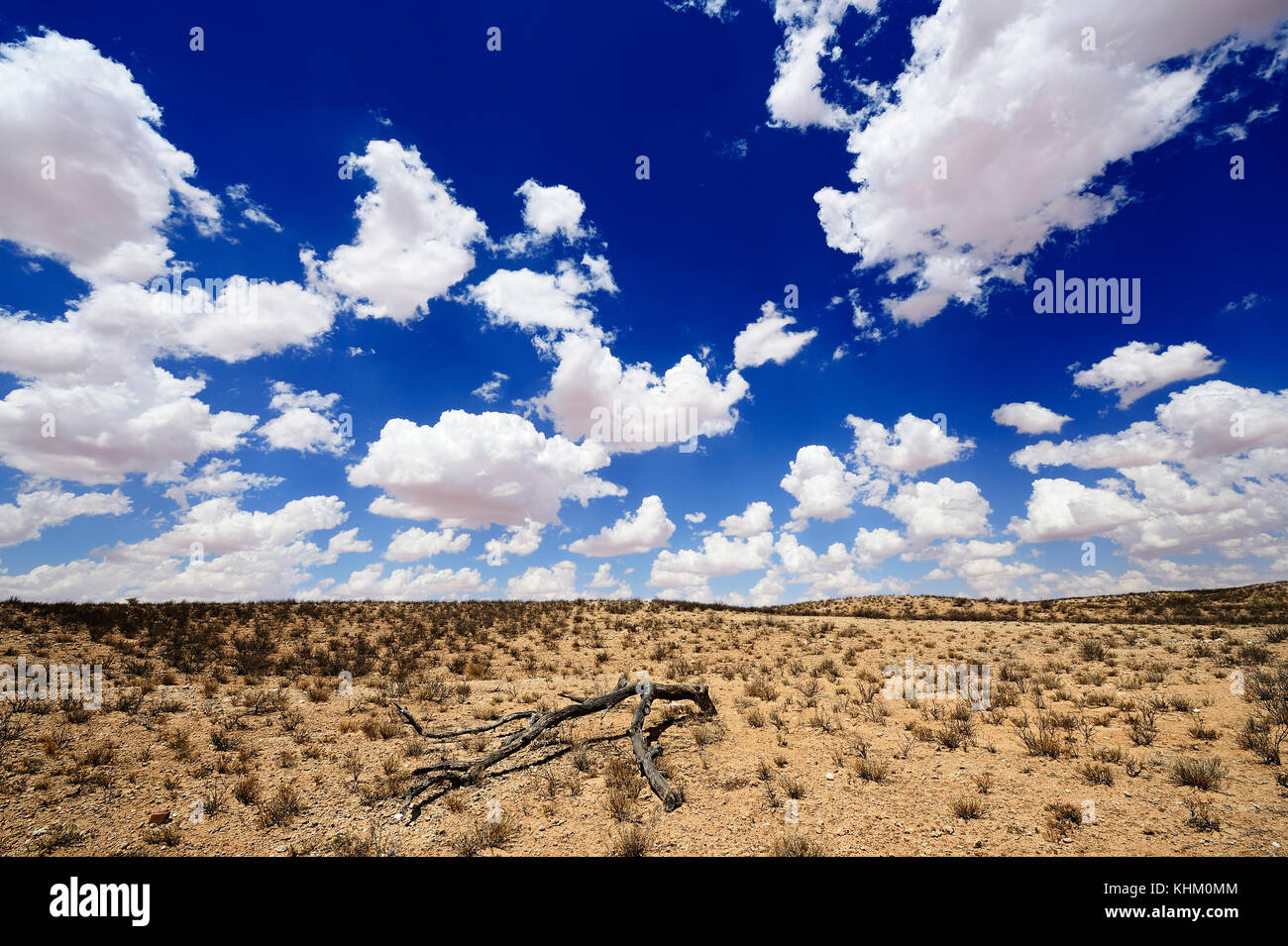 Nubes sobre la sabana seca, kglagadi parque transfronterizo, kalahari, North Cape, Sudáfrica Foto de stock