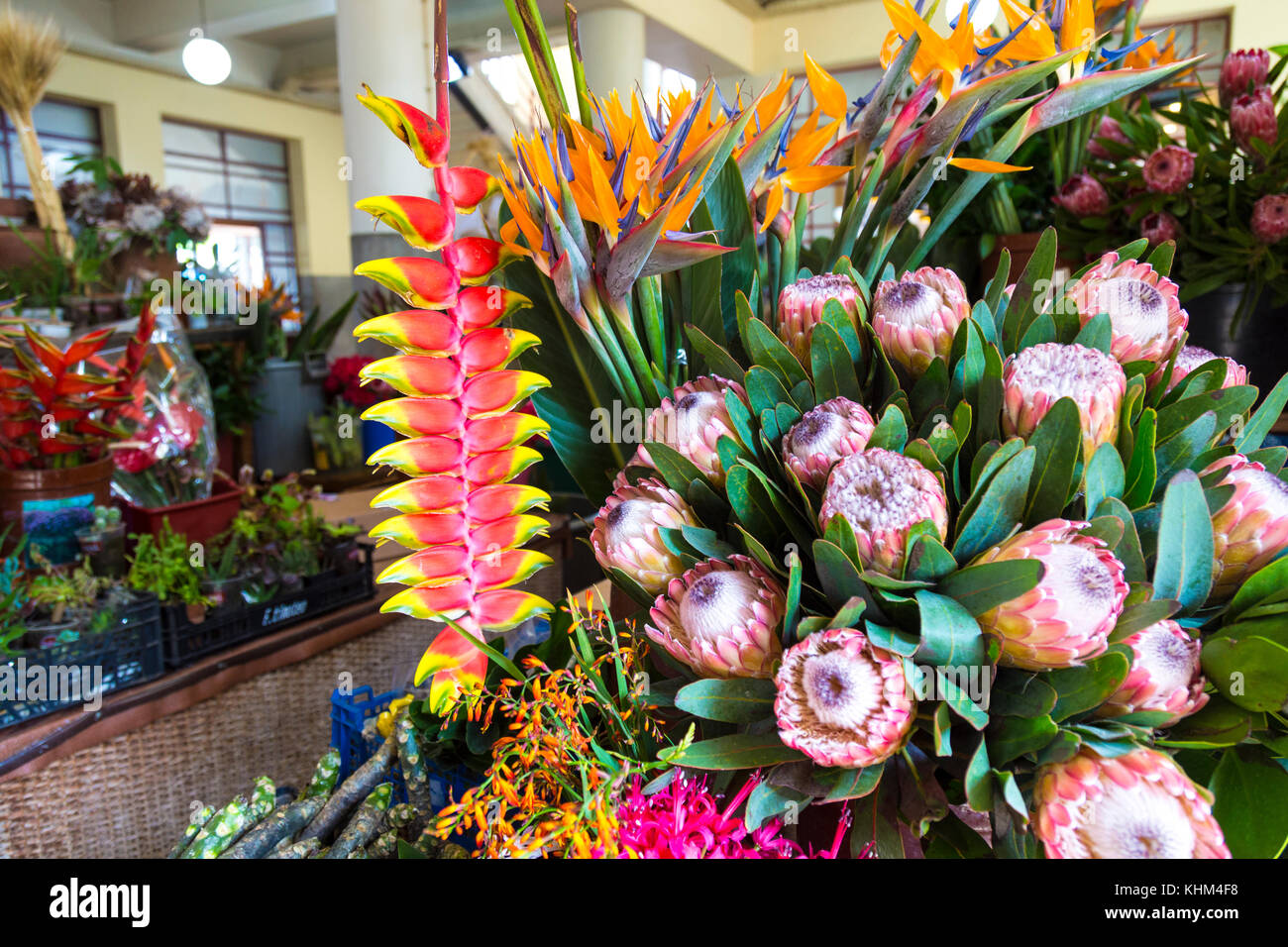 Calado de flores exóticas en el mercado de los Lavradores con Heliconia rostrata, rey protea y aves del paraíso, flores, Funchal, Madeira Foto de stock