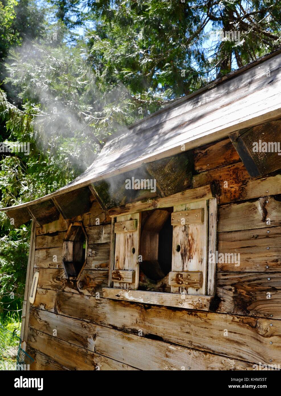 Sauna de madera natural de aguas termales, con el vapor que fluye a través de la ventana, breitenbush hot springs, adyacente al bosque nacional de Monte Hood, Oregon Foto de stock