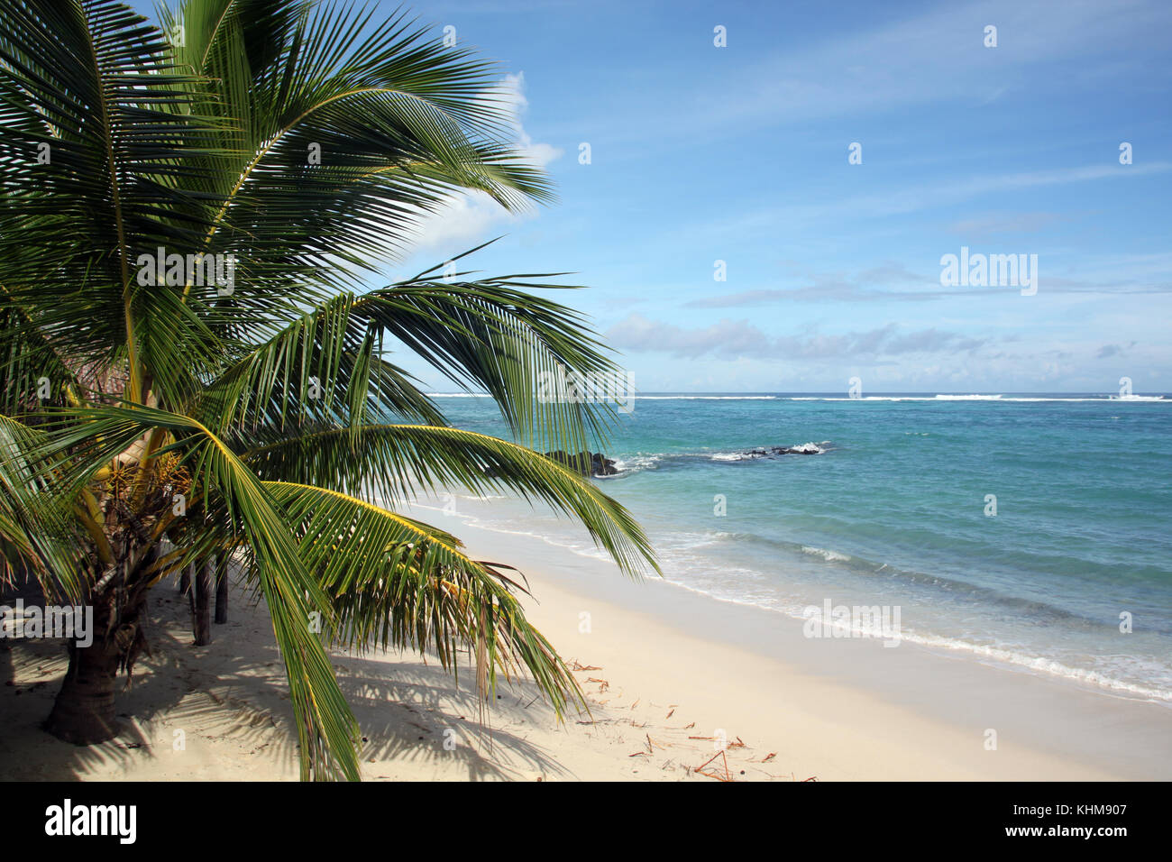 Playa palmeras arena blanca on Craiyon