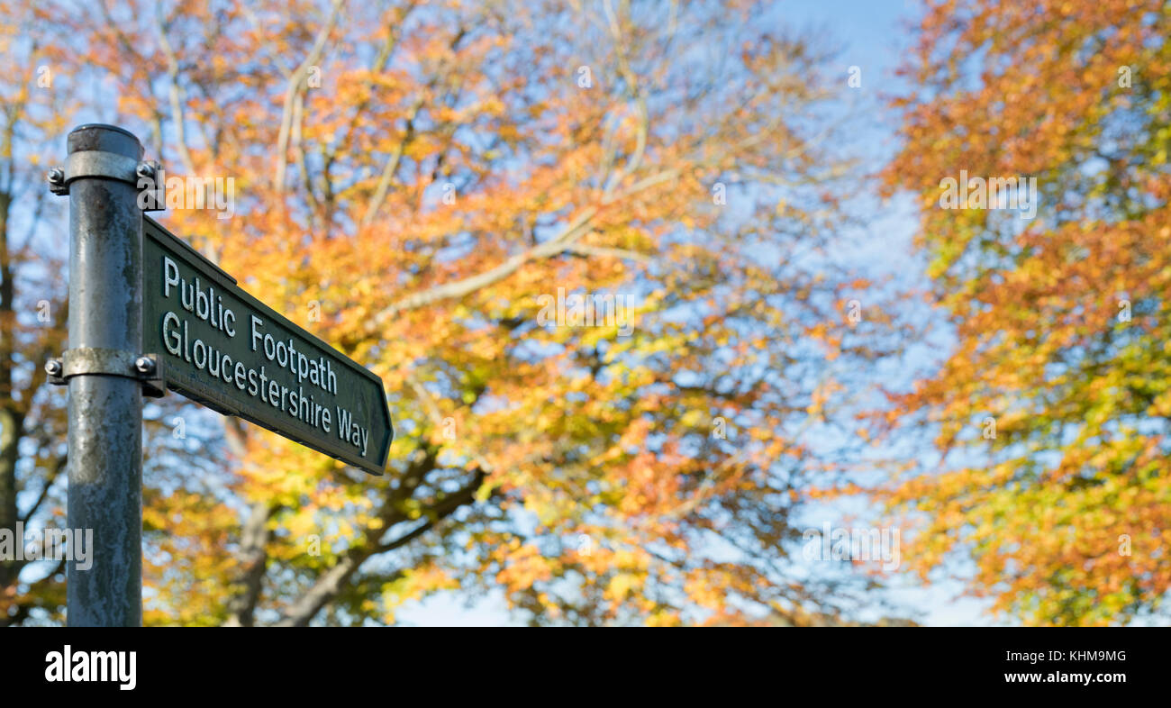 Gloucestershire forma sendero público firmar y colorido otoño hayedos. Cotswolds, Gloucestershire, Inglaterra Foto de stock