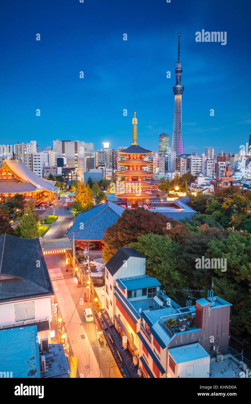 Tokio, Japón. Imagen del paisaje urbano del horizonte de Tokio al atardecer en Japón. Foto de stock