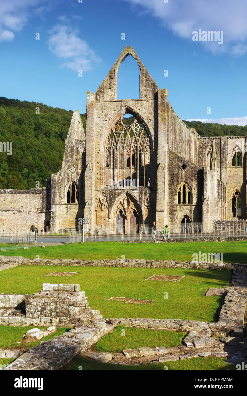 La ABADÍA DE TINTERN, Monmouthshire, Gales, Reino Unido. La abadía fue fundada en 1131. Foto de stock