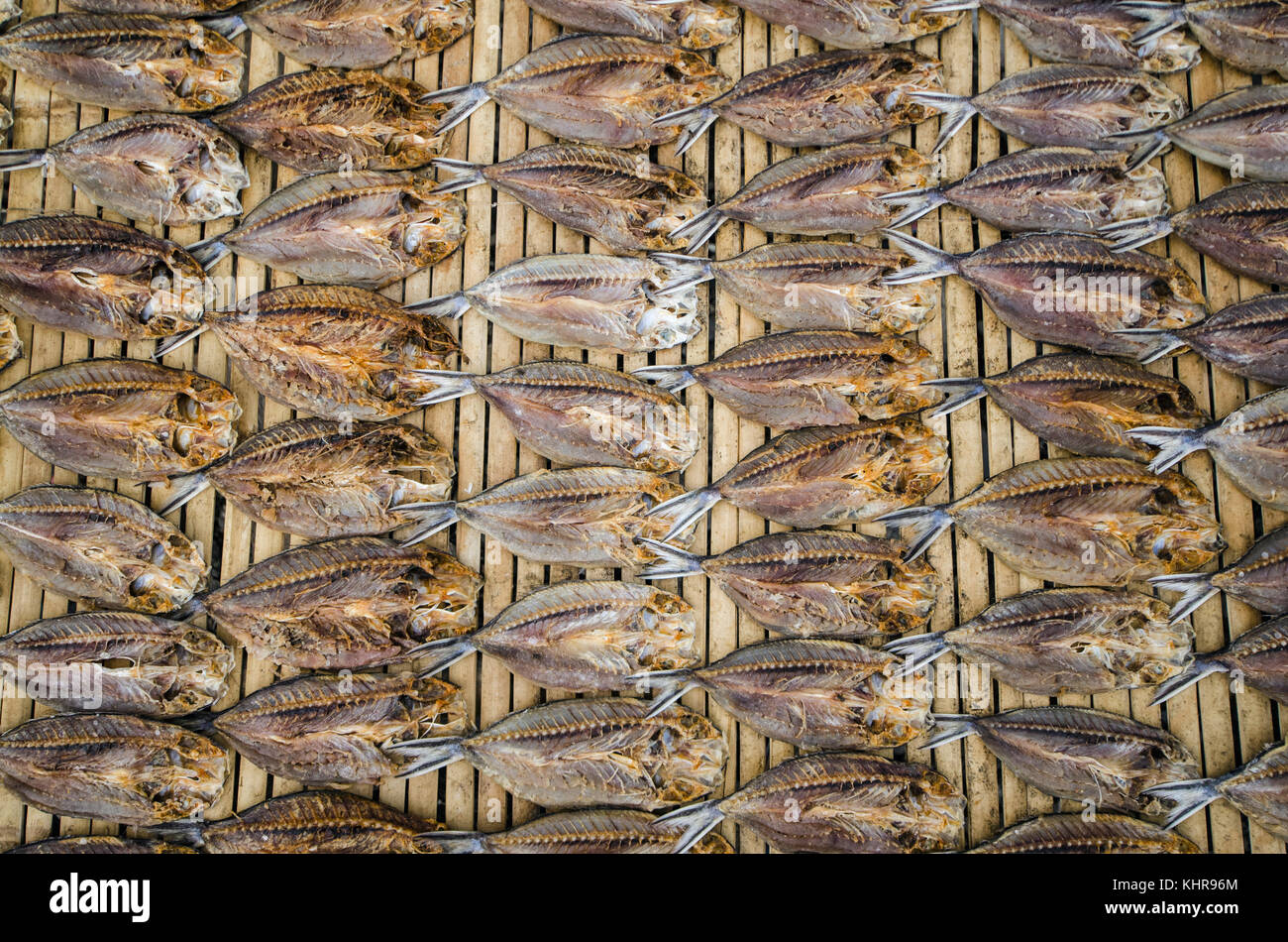 Secado de pescado en el mercado de pescado, Islas banda, Mar de banda, Indonesia Foto de stock