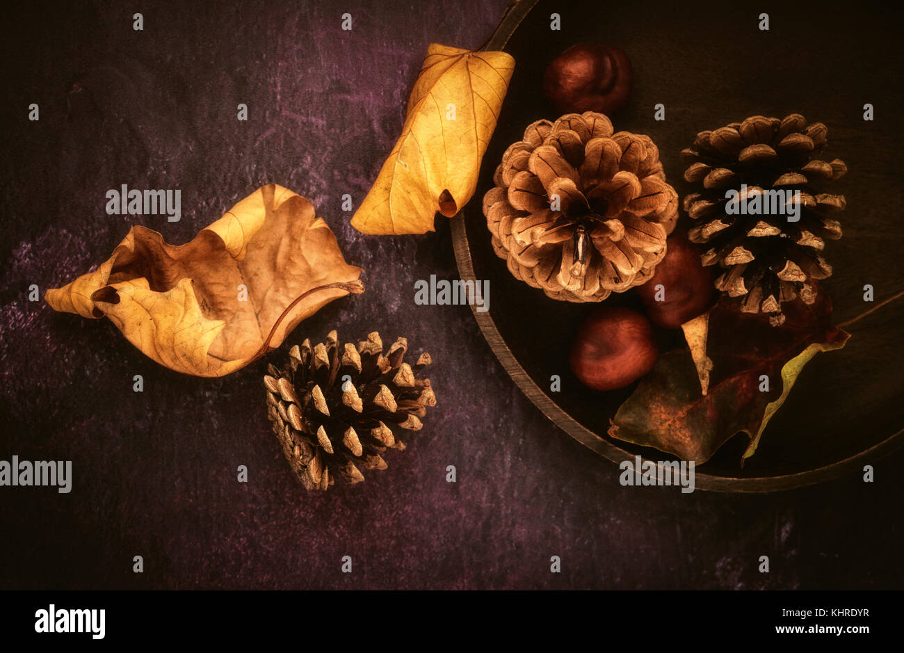 Otoño bodegón con castañas, hojas y conos Foto de stock