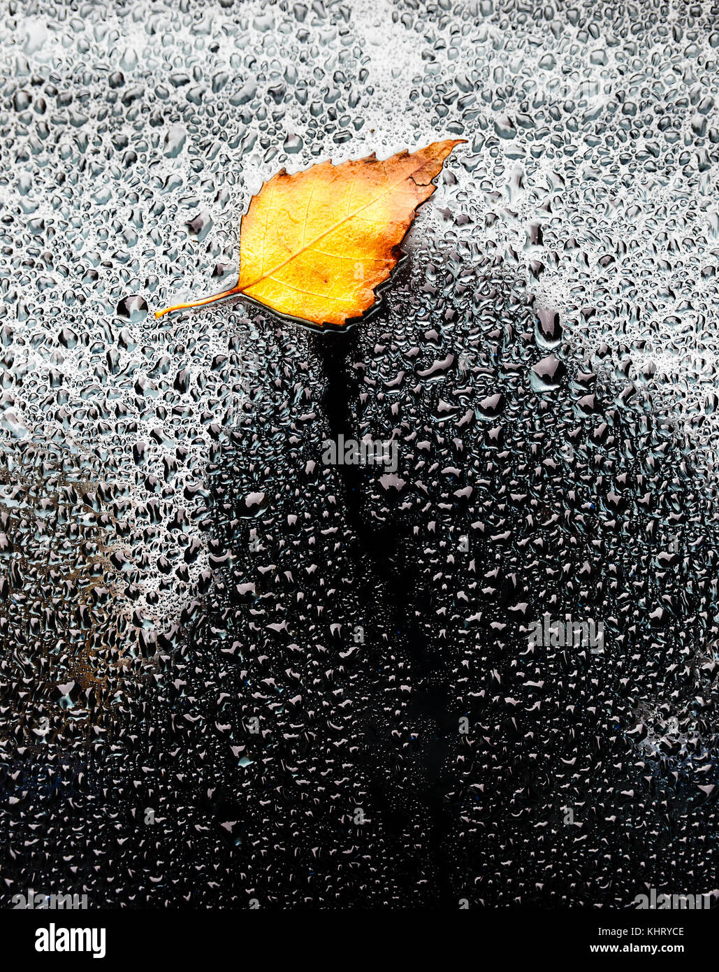 Hoja de otoño amarillo sobre mojado alquiler de vidrio. Foto de stock