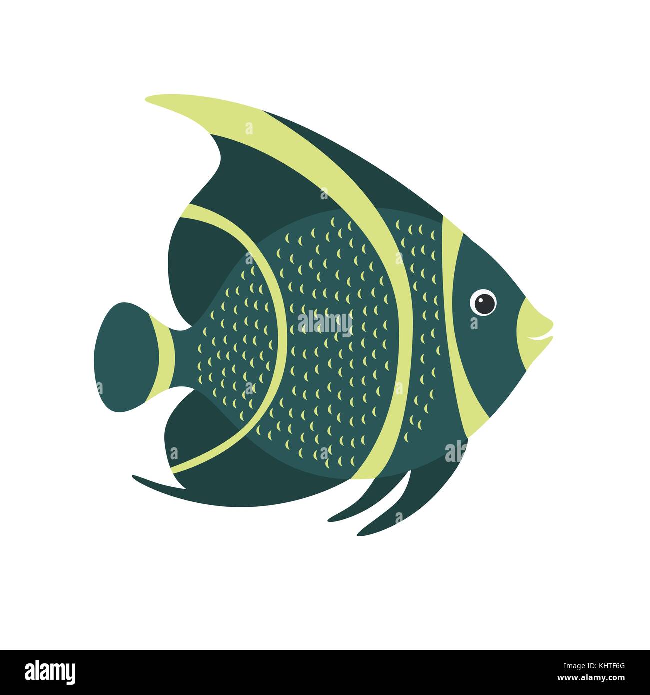 El pez ángel francés pomacanthus paru . los peces marinos. Ilustración del Vector