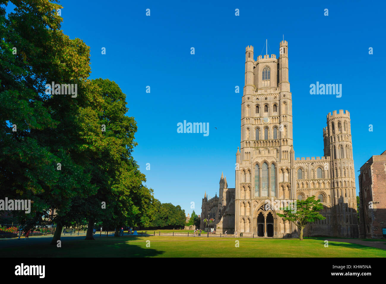 La ciudad de la catedral del Reino Unido, el verde de la catedral - conocido como el verde del palacio - y la torre oeste de la catedral en Ely, Cambridgeshire, Reino Unido. Foto de stock