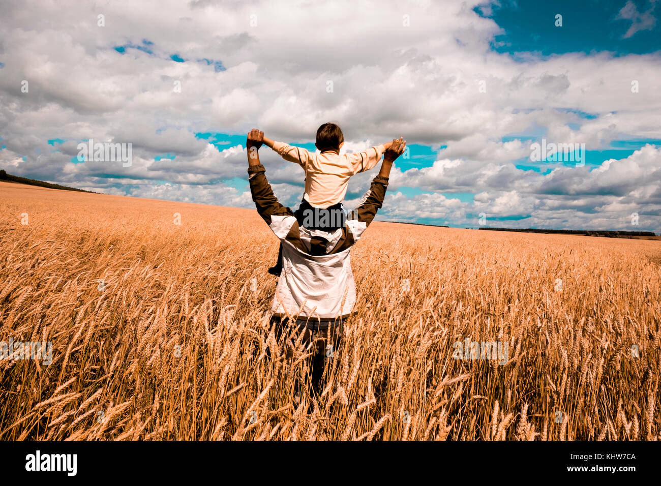 El padre y el hijo caminando a través de campo de maíz, hijo de padre llevar sobre los hombros, vista trasera, Ural, Sverdlovsk, Rusia, Europa Foto de stock
