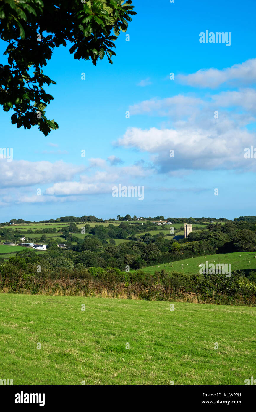 Cornish campo cerca de Truro, Cornwall, Inglaterra, Gran Bretaña, Reino Unido, Foto de stock
