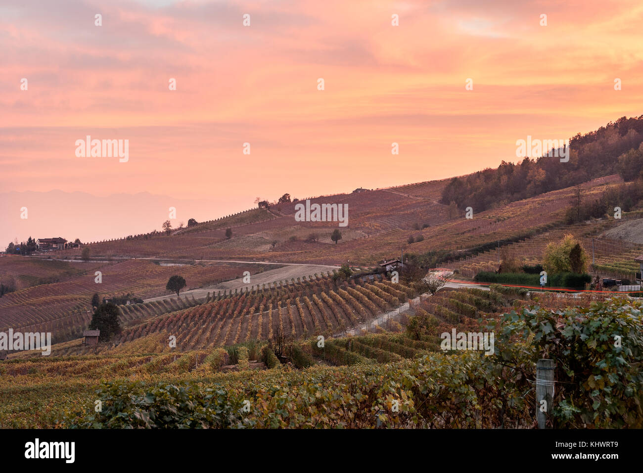 Italia, Piamonte, distrito de Cuneo, Langhe - Amanecer otoñal Foto de stock