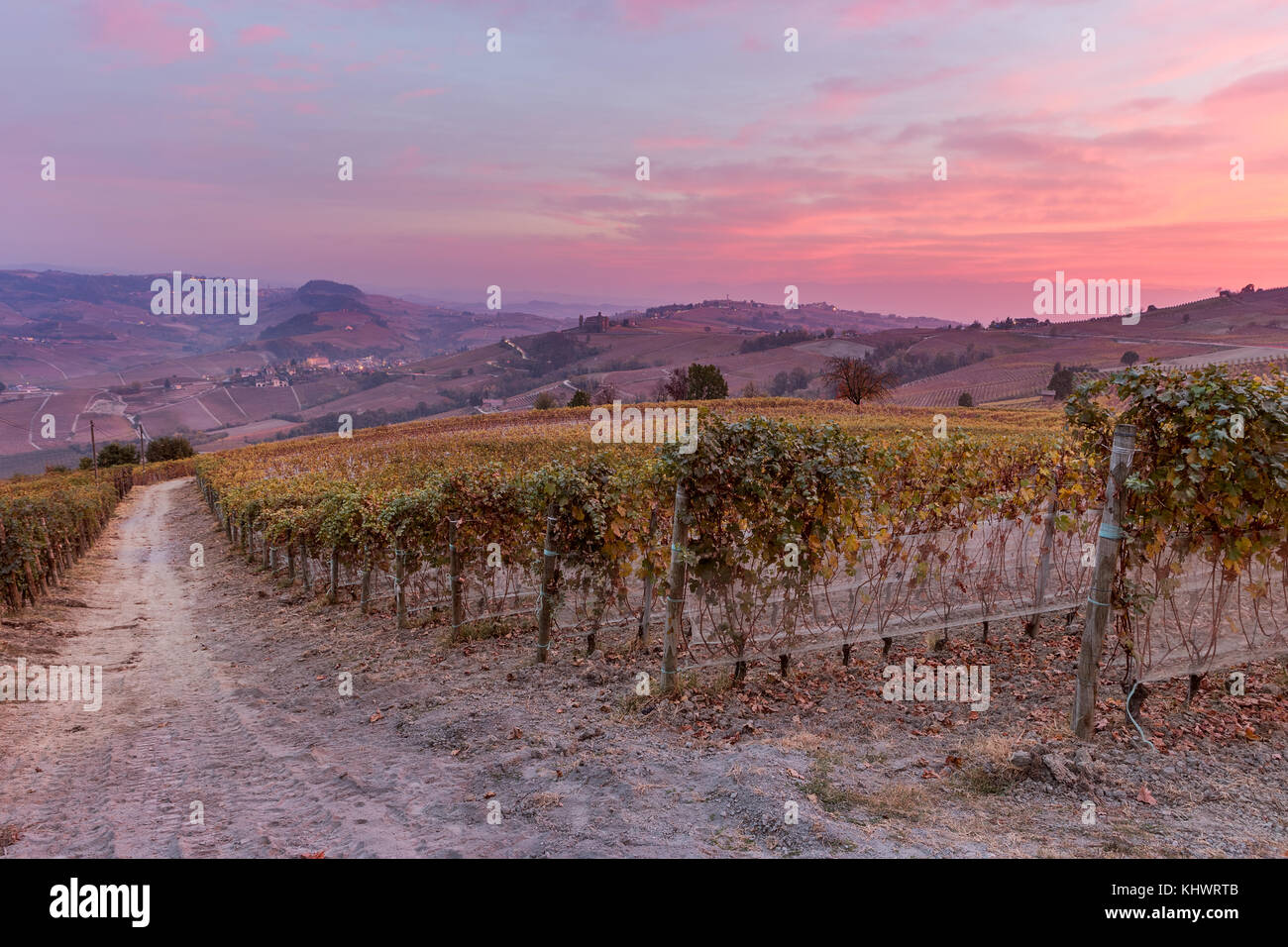 Italia, Piamonte, distrito de Cuneo, Langhe - Amanecer otoñal Foto de stock