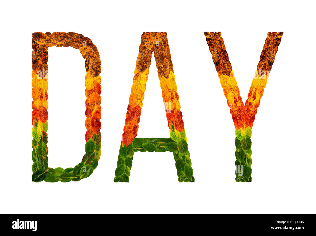 Palabra día escrito con hojas blancas antecedentes aislados, banner