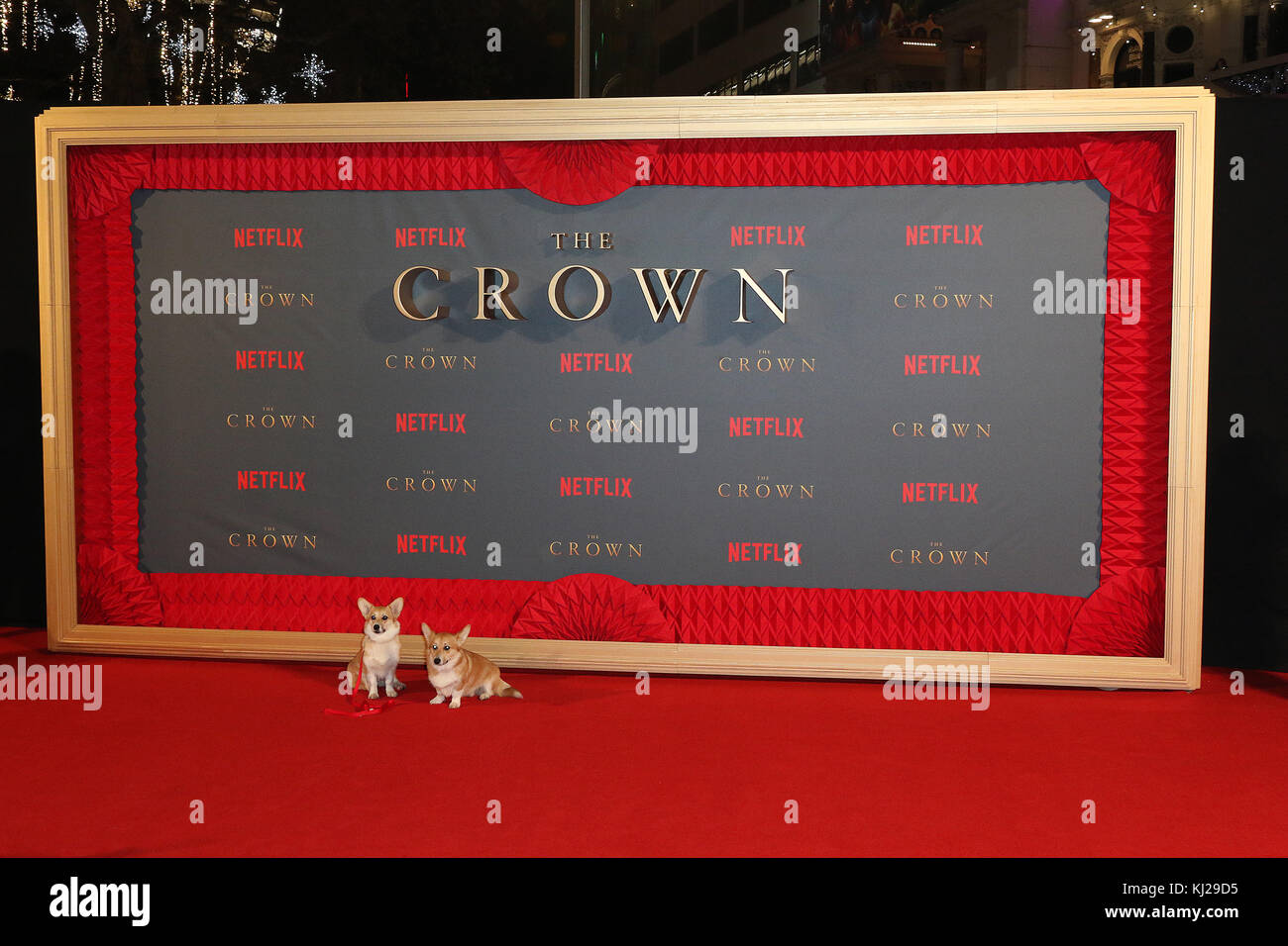 Londres, Reino Unido. 21 Nov, 2017. Corgis, La Corona - Temporada 2 Estreno Mundial, Leicester Square, Londres, Reino Unido. 21 Nov, 2017. Foto por Richard Goldschmidt Crédito: Oro ricos/Alamy Live News Foto de stock