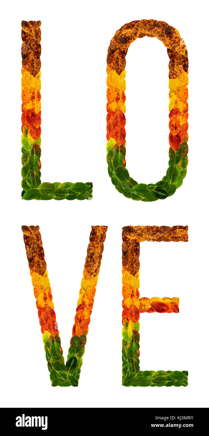 Palabra amor escrito con hojas blancas antecedentes aislados, banner