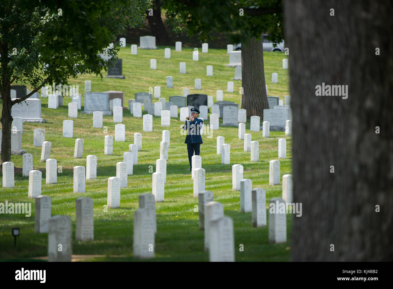 Los miembros de la Guardia de Honor de la Fuerza Aérea de EE.UU. Participar en el funeral de todos los honores militares coronel retirado Freeman B. Olmstead en el Cementerio Nacional de Arlington (36206289725) Foto de stock