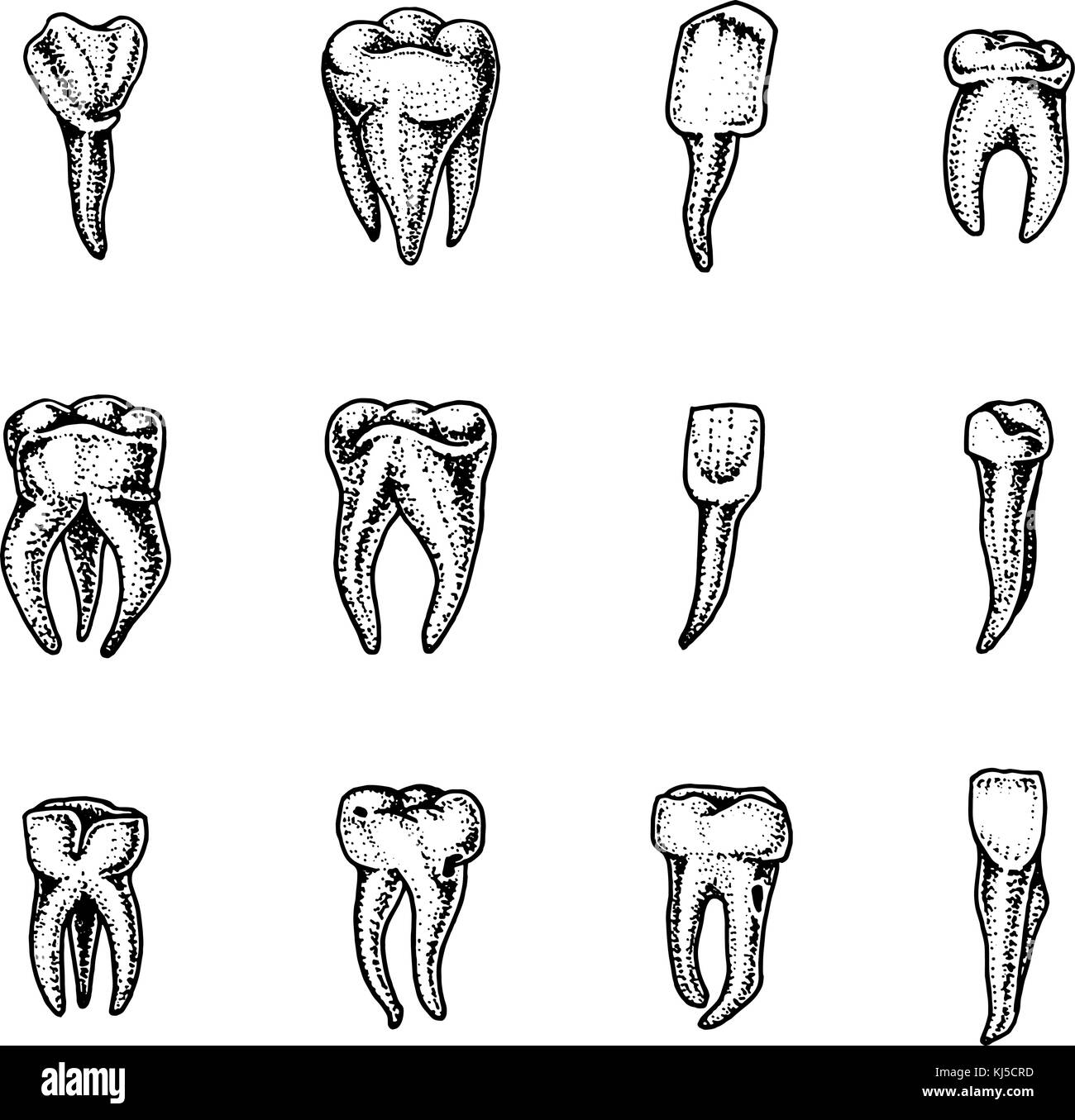 Tooth caries character icon Imágenes de stock en blanco y negro Alamy