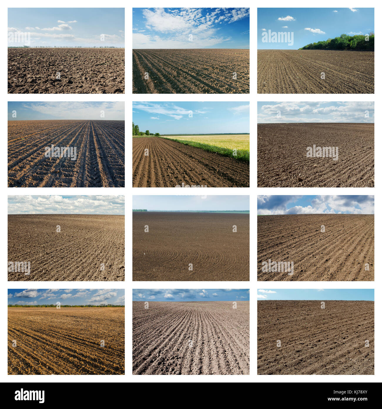 Set de imágenes con negro aró la agricultura campos. collage para proyectos  en internet Fotografía de stock - Alamy