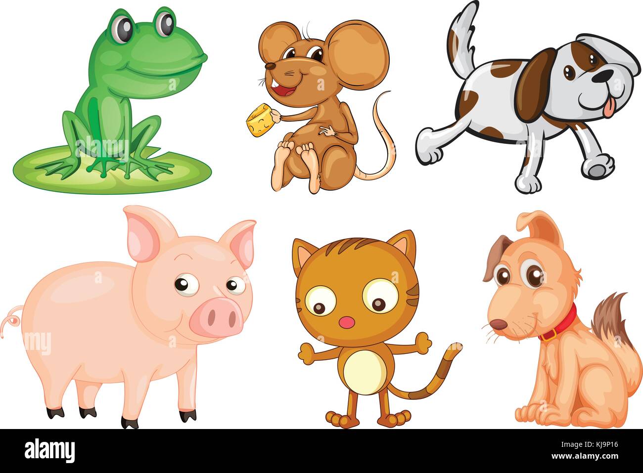 Ilustración de la differrent tipos de animales terrestres sobre un