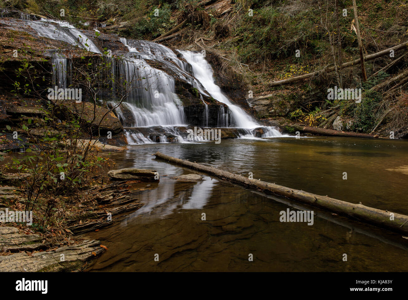 Panther Creek Falls es uno de los más grandes así como más hermosas cascadas en el norte de Georgia. Son aproximadamente 50 pies de alto, pero son probablemente 80-100 pies de ancho. La ruta oriental a Panther Creek Falls empieza en 441 histórico en el Panther creek picnic están en Clarkesville, Georgia. La caminata es de más de 3 millas de las cataratas, y aunque generalmente fácil tiene algunas áreas que requieren cierta agilidad como usted hace su manera a lo largo de acantilado elevado por encima del arroyo. El sendero sigue generalmente gran pantera Creek, y cruza a través de un puente en aproximadamente la mitad de la caminata Foto de stock