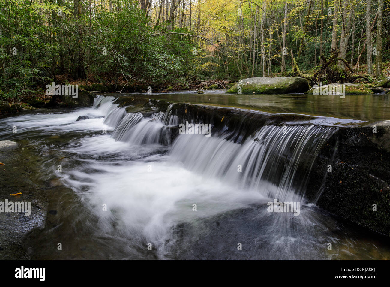 Lynn camp punta es uno de los dos afluentes principales que componen la mitad de las puntas de lanza de la Little River en el Great Smoky Mountain National Park. Se puede acceder a ella a través del oriente prong sendero que sigue el arroyo. el pequeño río está a aproximadamente 60 millas de largo y muy pintoresco. Comienza en el parque nacional Great Smoky y finalmente desemboca en el río Tennessee en fort loudon Lake. Foto de stock