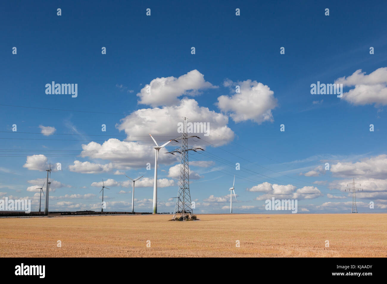 Windräder mit Überlandleitung Foto de stock