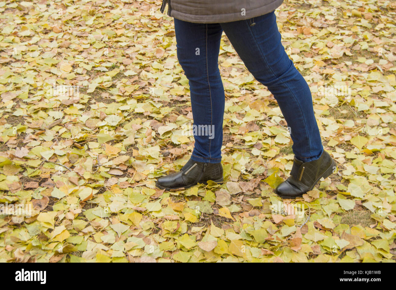 Mujer piernas con light blue jeans y botas negras en naranja hojas de otoño  Fotografía de stock - Alamy