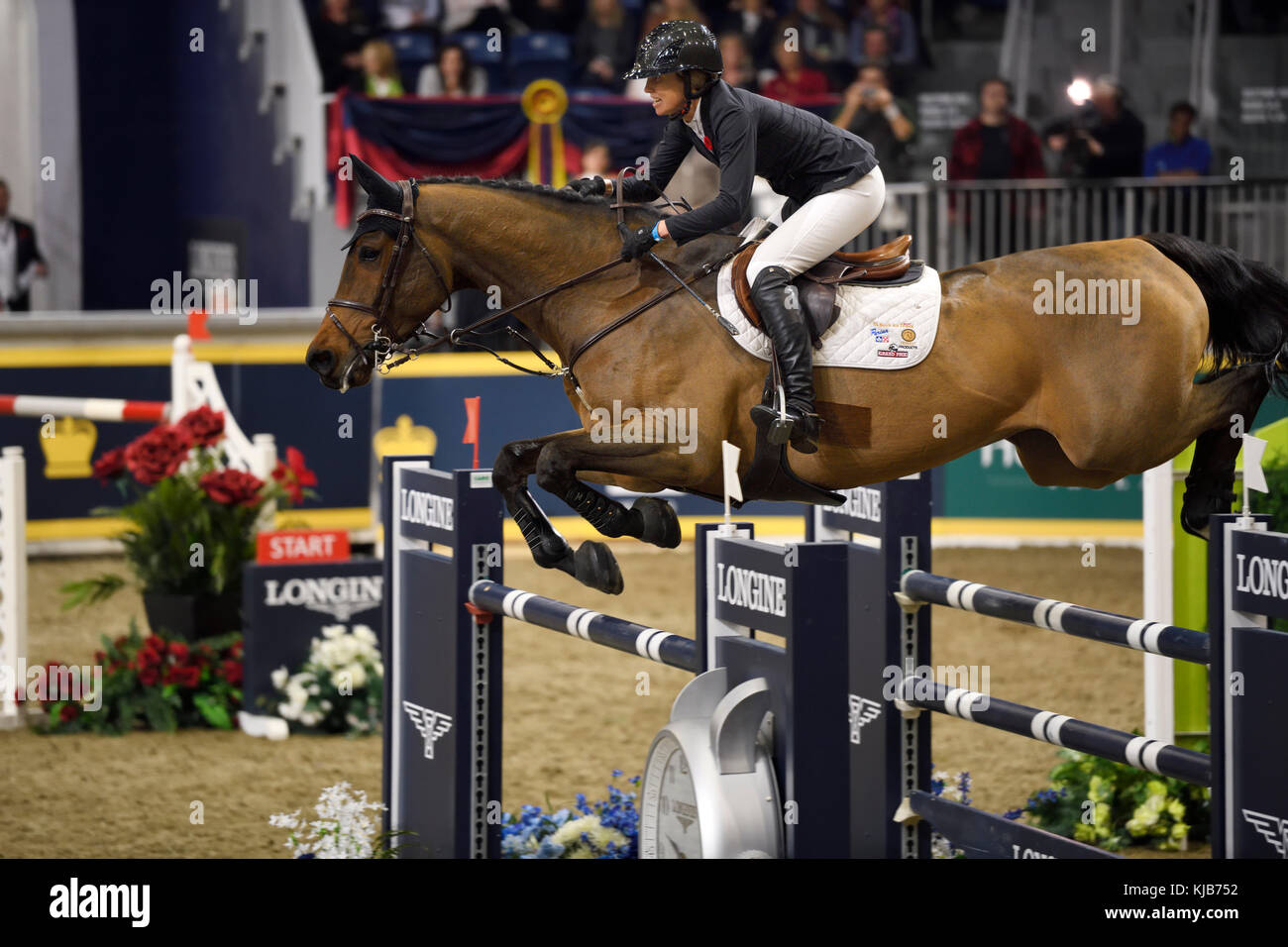 Amy Miller Canadá caballo Heros en el Longines FEI World Cup Show Jumping Competition en el Royal Horse Show Toronto Foto de stock
