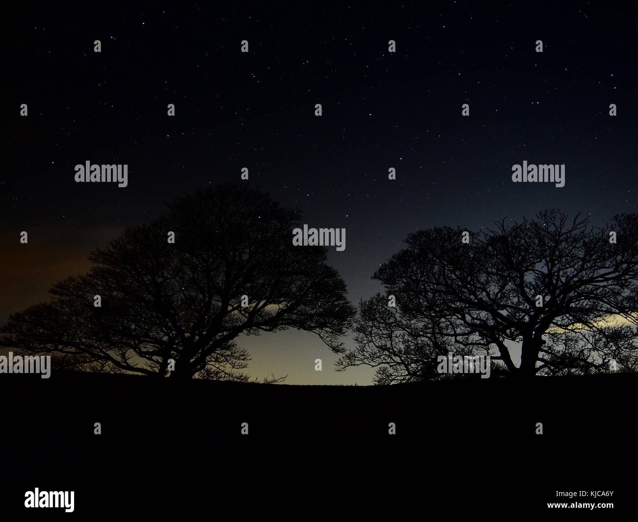 Una vista del árbol desnudo en una noche de otoño estrellada en Curbar Edge, Peak District, Inglaterra Foto de stock