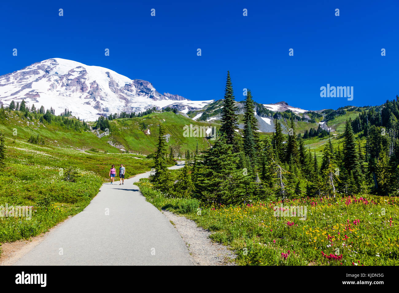 Myrtle cae sendero al paraíso sección del Parque Nacional Monte Rainier en el estado de Washington en los estados unidos Foto de stock