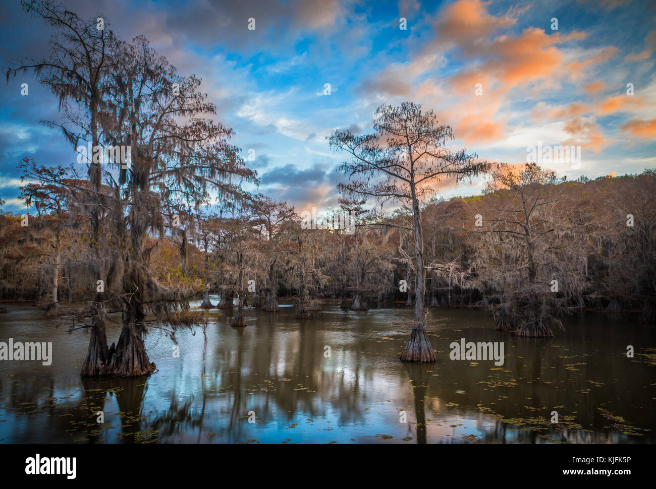 Caddo Lake es un lago y un humedal situado en la frontera entre Texas y Louisiana. Foto de stock