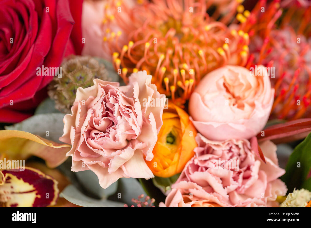 Fondo de coloridas flores. La labor de la floristería en una tienda de