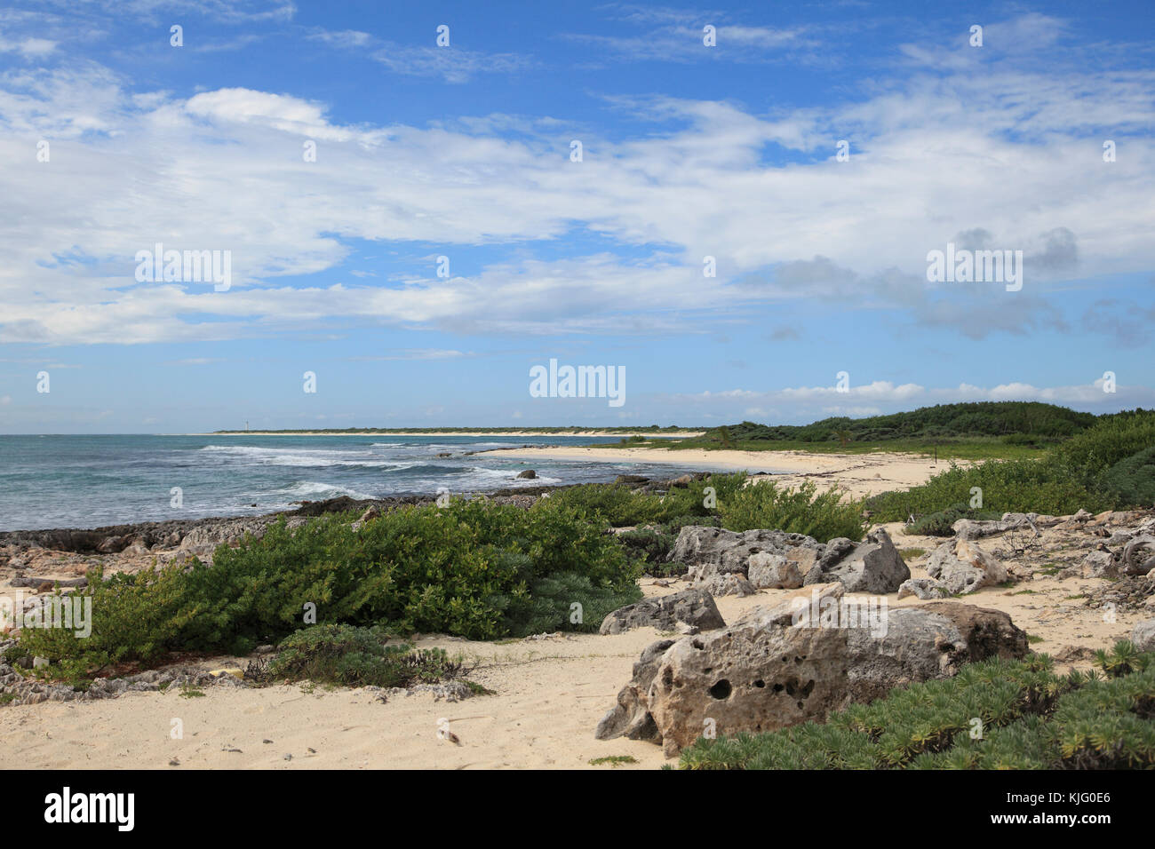 Playa, subdesarrollado, costa este de la isla de Cozumel, Isla de Cozumel, Quintana Roo, México, el Caribe Foto de stock
