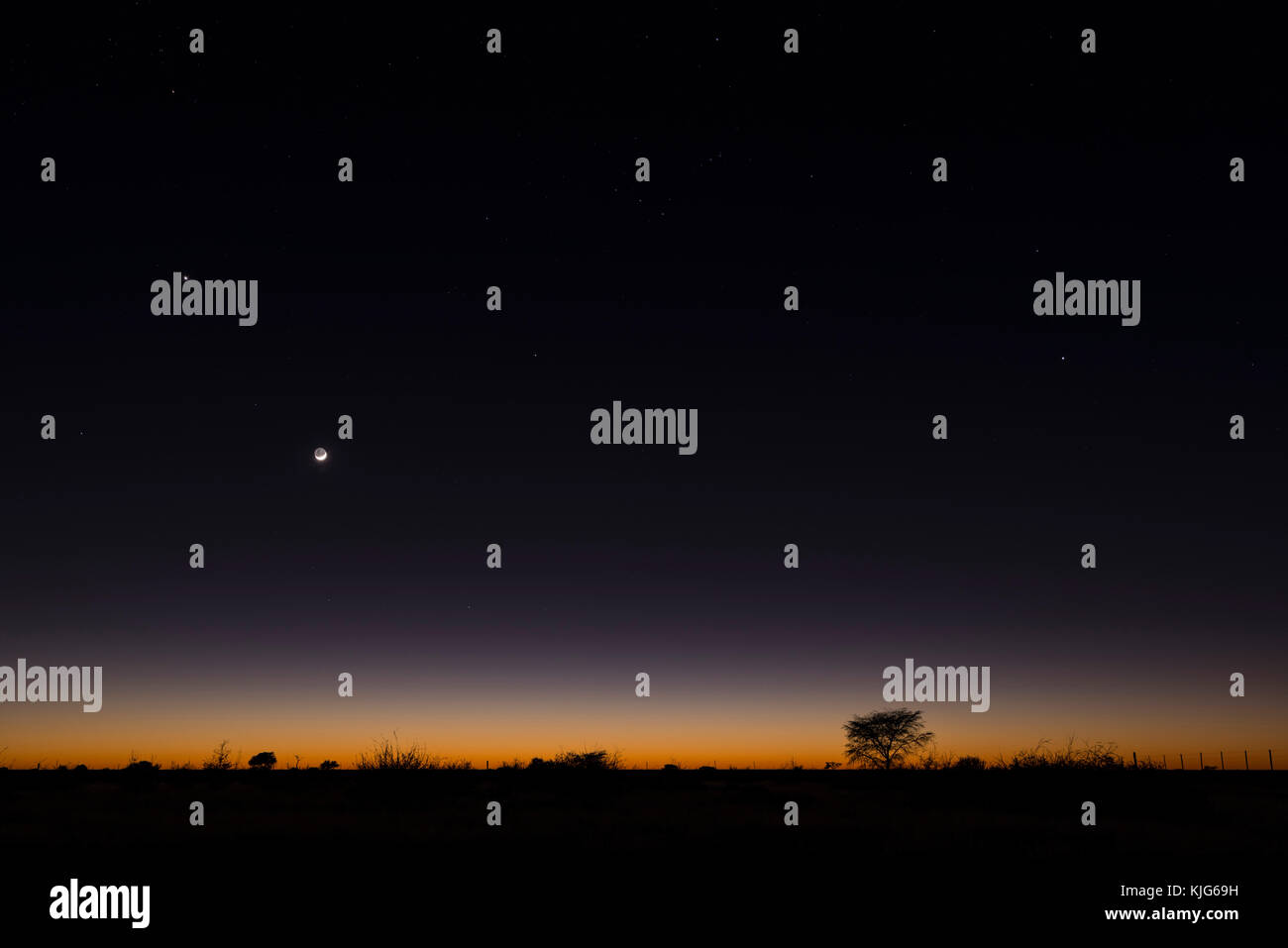 Namibia, Región Khomas, cerca de Uhlenhorst, Astrophoto, luna creciente y el planeta Venus brillando por encima de un horizonte de savannah Foto de stock